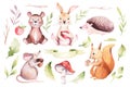 Cute baby animal nursery mouse, rabbit and bear isolated illustration for children. Watercolor boho forest drawing Royalty Free Stock Photo