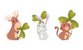 Cute baby animals with three leaf clover set. Adorable deer, bunny, cat holding shamrock leaves cartoon vector Royalty Free Stock Photo