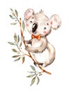 Cute baby Australian animal koala. Nursery watercolor handpainted kids boy girl illustration. boho clipart. hand drawn