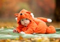 Cute baby boy dressed in fox costume Royalty Free Stock Photo