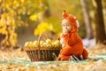 Cute baby boy dressed in fox costume sitting by basket with apples Royalty Free Stock Photo