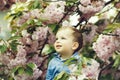 Cute baby boy among pink blossoming flowers