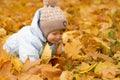 Cute baby boy playing in autumn park. Funny kid sitting among yellow leaves. Adorable toddler with oak and maple leaf Royalty Free Stock Photo