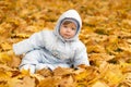 Cute baby boy playing in autumn park. Funny kid sitting among yellow leaves. Adorable toddler with oak and maple leaf Royalty Free Stock Photo
