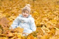 Cute baby boy playing in autumn park. Funny kid sitting among yellow leaves. Adorable toddler with oak and maple leaf Royalty Free Stock Photo