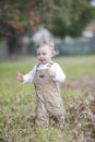 Cute baby boy running through Autumn leaves Royalty Free Stock Photo