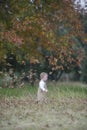 Cute baby boy running through Autumn leaves Royalty Free Stock Photo