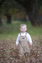 Cute baby boy running through Autumn leaves Royalty Free Stock Photo