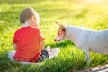 Cute Baby Boy Sitting In Grass Next to His Dog Royalty Free Stock Photo