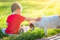 Cute Baby Boy Sitting In Grass Petting Dog Royalty Free Stock Photo