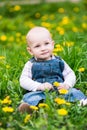 Cute baby boy sitting on a lawn with dandelions Royalty Free Stock Photo