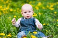 Cute baby boy sitting on a lawn with dandelions Royalty Free Stock Photo