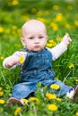 Cute baby boy sitting on a lawn with dandelions Royalty Free Stock Photo