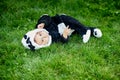 Cute baby boy wearing a Panda bear suit sitting in grass at park. Royalty Free Stock Photo