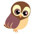 Cute baby brawn owl with big eyes