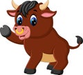 Cute baby bull cartoon