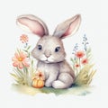 Cute baby bunny, pastel colors, flowers, watercolor illustration Royalty Free Stock Photo