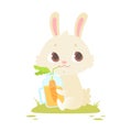 Cute baby bunny sitting on a green grass