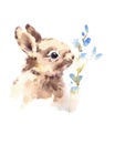 Cute Baby Bunny smelling blue flowers Watercolor Animals Illustration Hand Drawn