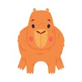 Cute baby capybara. Front view of funny animal of South America cartoon vector illustration