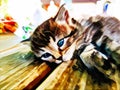 Cute baby cat oil paint 01 - modern digital art animal Royalty Free Stock Photo