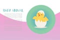 Cute baby chick just hatched from an Easter egg cartoon vector illustration. Royalty Free Stock Photo