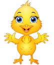 Cute baby chicken cartoon Royalty Free Stock Photo