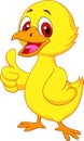 Cute baby chicken cartoon with thumb up