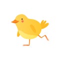 Cute baby chicken walking, funny cartoon bird character vector Illustration on a white background Royalty Free Stock Photo