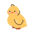 Cute baby chickens set easter design yellow cartoon chicks. Vector illustration Royalty Free Stock Photo