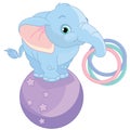 Cute baby circus elephant on ball cartoon Royalty Free Stock Photo