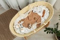 Cute baby clothes and accessories in basket bassinet at home Royalty Free Stock Photo