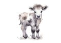 Cute baby cow calf animal watercolor childrens print Royalty Free Stock Photo