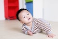 Cute Baby crawling on livingroom floor Royalty Free Stock Photo