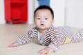 Cute Baby crawling on livingroom floor Royalty Free Stock Photo