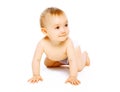 Cute baby crawls joyful having fun