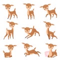 Cute Baby Deer, Adorable Brown Forest Animal Set Vector Illustration