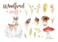 Cute baby deer animal nursery isolated illustration for children. Watercolor boho forest drawing, watercolour woodland