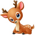Cute baby deer cartoon Royalty Free Stock Photo