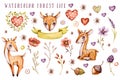 Cute baby deer, forest flowers, leaves. Nursery animal set. isolated illustrations for children. Royalty Free Stock Photo