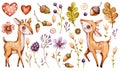 Cute baby deer. Forest Watercolor nursery cartoon woodland animals deer, forest flowers leaves. Adorable Nurseries