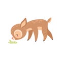 Cute Baby Deer Grazing, Adorable Forest Fawn Animal Vector Illustration Royalty Free Stock Photo