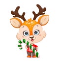 Cute baby deer holding big candy cane