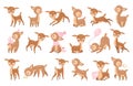 Cute Baby Deer with Spots as Adorable Hoofed Mammal Big Vector Set