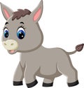 Cute baby donkey cartoon Royalty Free Stock Photo