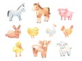 Cute baby donkey, lamb and chicken isolated on white. Watercolor farm animals set. Royalty Free Stock Photo