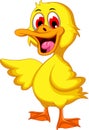 Cute baby duck cartoon Royalty Free Stock Photo