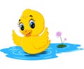 Cute baby duck cartoon Royalty Free Stock Photo