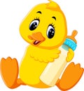 Cute baby duck cartoon Royalty Free Stock Photo