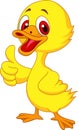 Cute baby duck cartoon thumb up Royalty Free Stock Photo